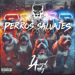 Perros Salvajes