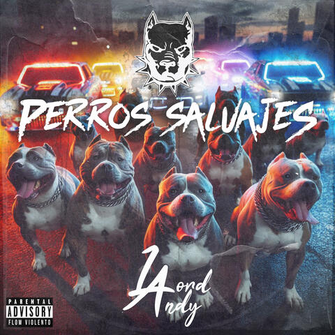 Perros Salvajes