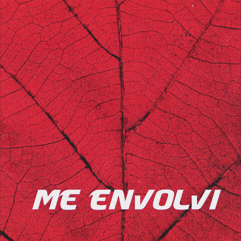 Me Envolvi