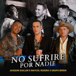 No Sufriré por Nadie
