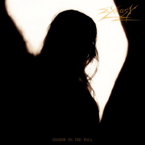 Shadow on the Wall