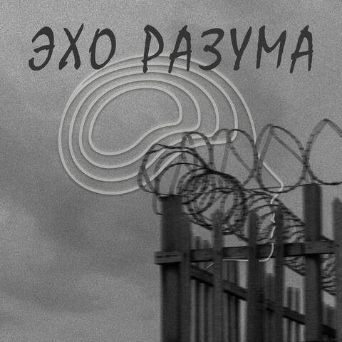 Эхо разума