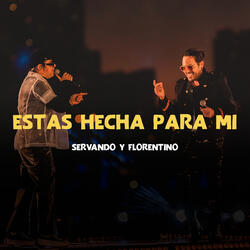 Estas Hecha para Mi
