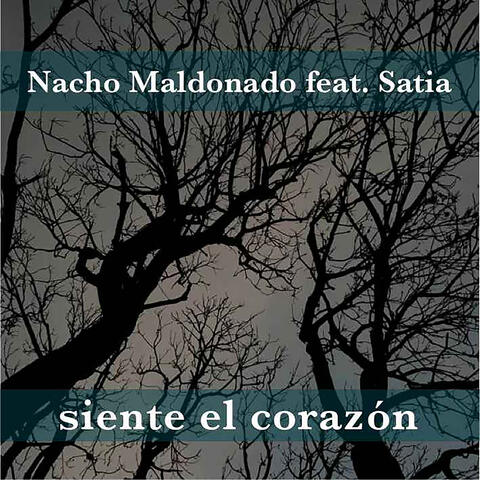 Nacho Maldonado