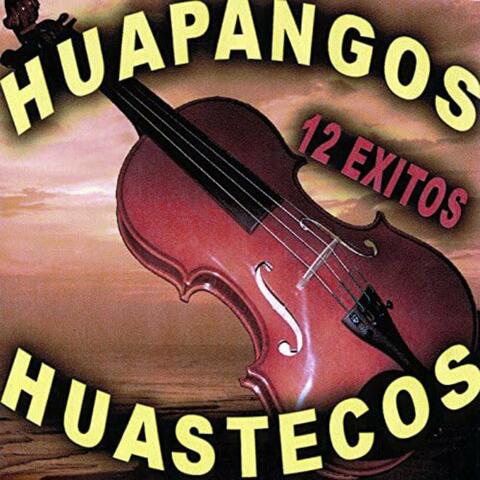 12 Exitos