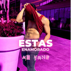 Estas Enamorado