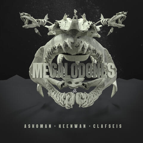 Megalodones