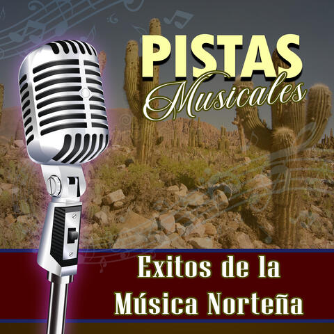 Pistas Musicales Exitos de la Música Norteña