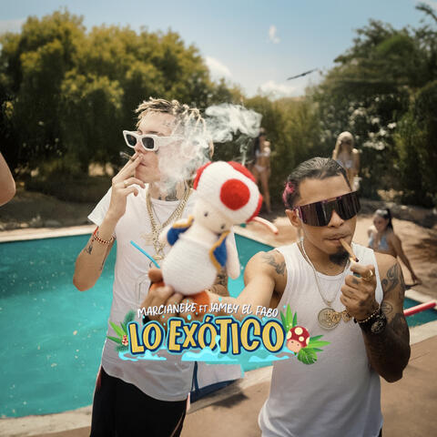 Marcianeke