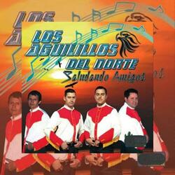 El Sinaloense / Rueditas de Amor