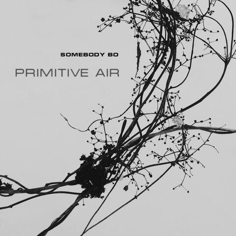 Primitive Air