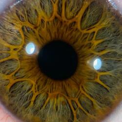 Handel Minuet in G Minor Hwv 434