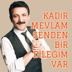 Kadir Mevlam Senden Bir Dileğim Var