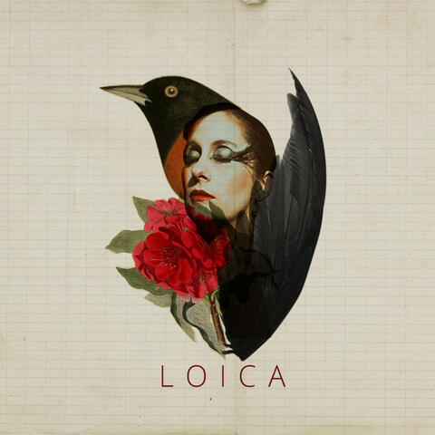 Loica