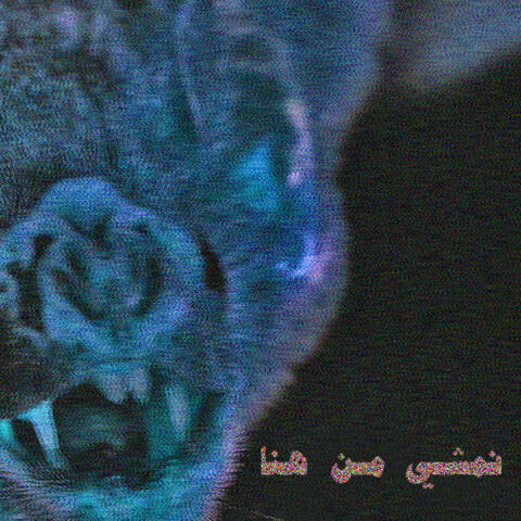 Abyusif