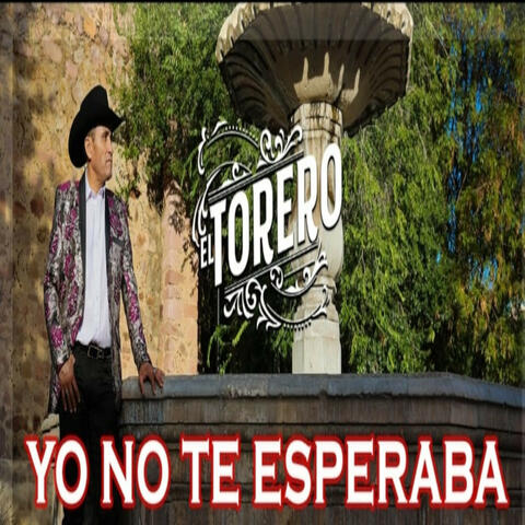 Yo No Te Esperaba