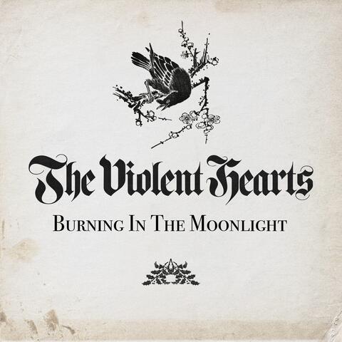 Burning in the Moonlight