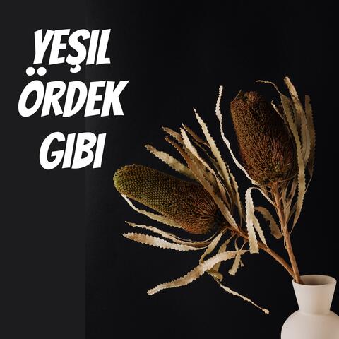 Yeşil Ördek Gibi