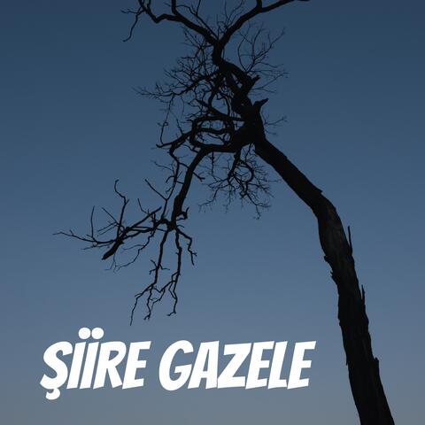 Şiire Gazele