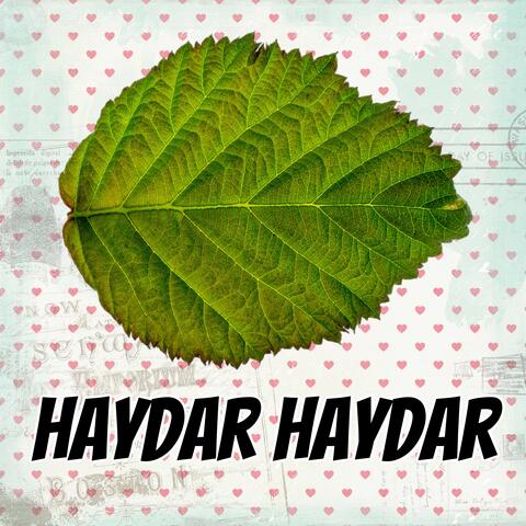 Haydar Haydar