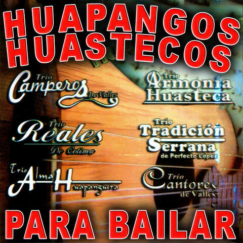 Para Bailar