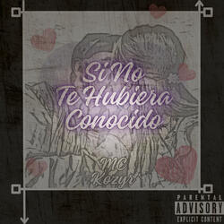 Si No Te Hubiera Conocido