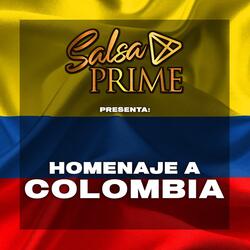 Mira Mi Piel