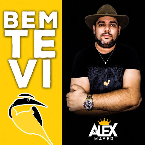 Bem-Te-Vi