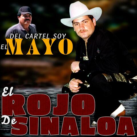 Del Cartel Soy el Mayo