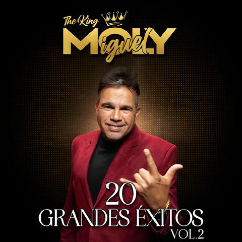20 Grandes Éxitos, Vol. 2