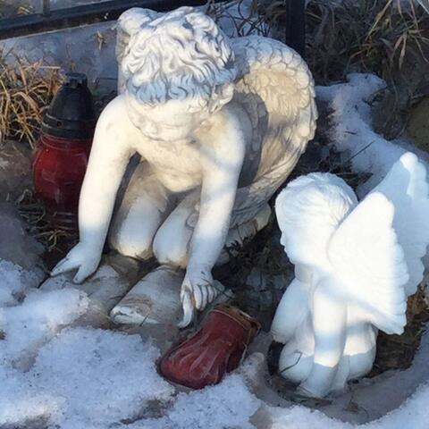 В небесном баре