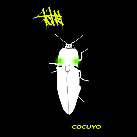 Cocuyo