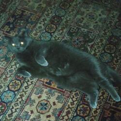 Детский утренник