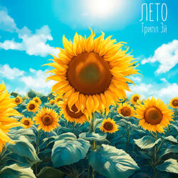 Лето