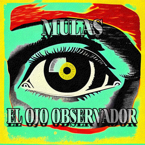 El Ojo Observador
