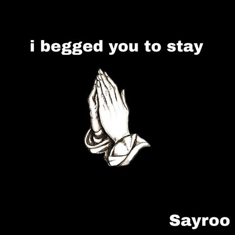 I Begged You to Stay