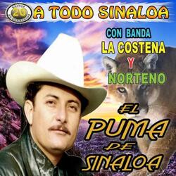 La Captura del Cochiloco