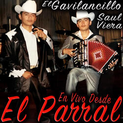 12 Ectarias