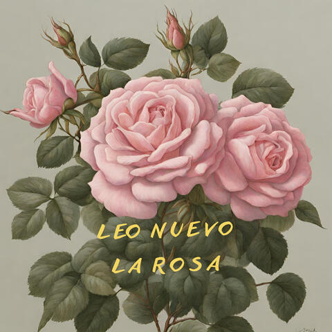 La Rosa