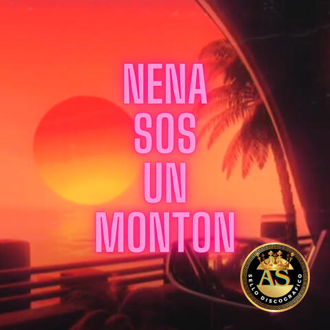 Nena Sos un Monton