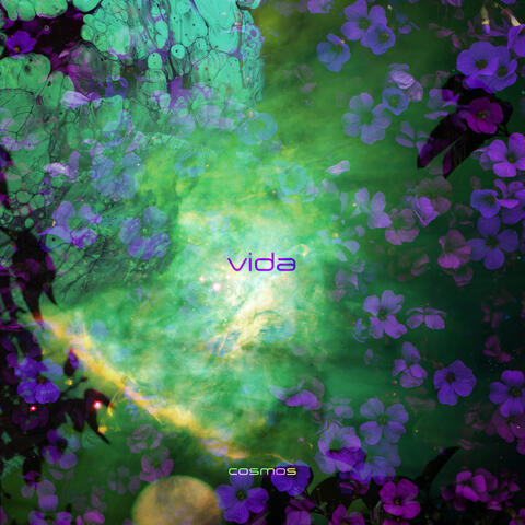 Vida
