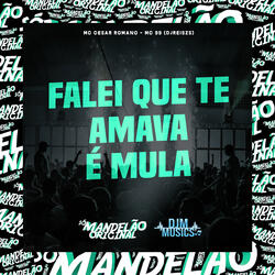 Falei Que Te Amava É Mula