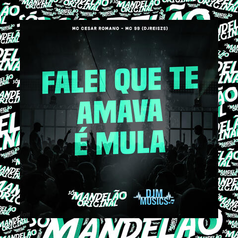 Falei Que Te Amava É Mula