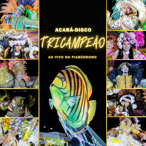 Acará-Disco Tricampeão 2024 (Ao Vivo no Piabódromo)
