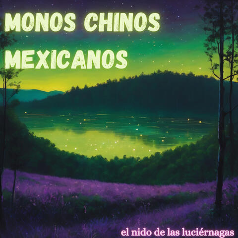 El Nido De Las Luciérnagas