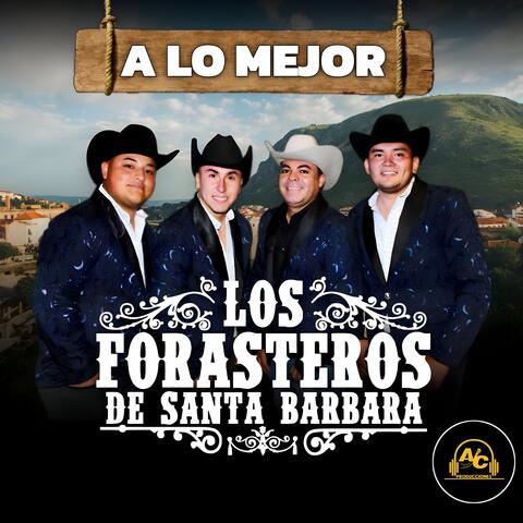 A Lo Mejor
