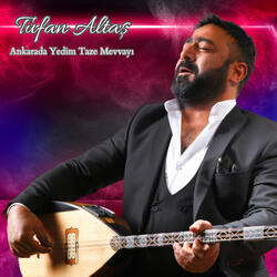 Ankarada Yedim Taze Mevvayı