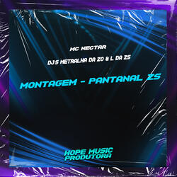 Montagem - Pantanal Zs