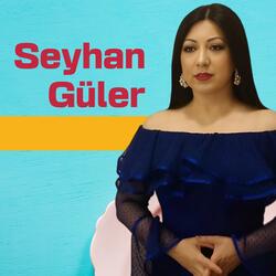 Şu Karşıki Dağda Kar Var Duman Yok