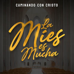 Tu Eres Mi Vida Señor
